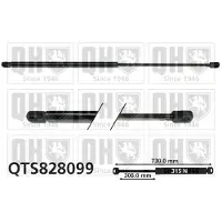 Quinton Hazell QTS828099 Gasveer motorkap