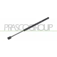 PRASCO FD4229053 Gasveer achterklep