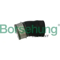 Borsehung B11982 Laadluchtslang