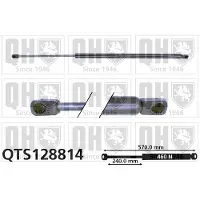 Quinton Hazell QTS128814 Gasveer achterklep