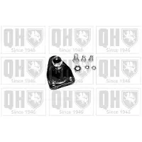 Quinton Hazell QSJ887S Fuseekogel