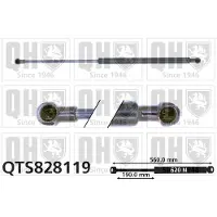 Quinton Hazell QTS828119 Gasveer achterklep