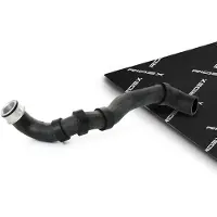 RIDEX 475R10303 Radiateurslang