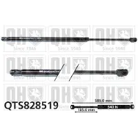 Quinton Hazell QTS828519 Gasveer achterklep