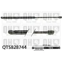 Quinton Hazell QTS828744 Gasveer, dak