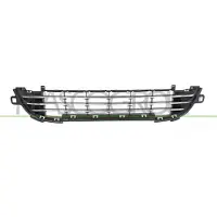 PRASCO PG3242131 Ventilatiegrille, bumper