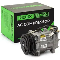 RIDEX 447K0691R Aircopomp