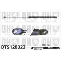 Quinton Hazell QTS128022 Gasveer achterklep