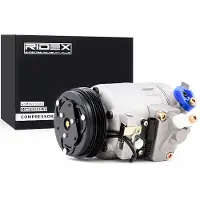RIDEX 447K0044 Aircopomp