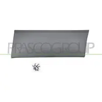 BLIC FT9001456 Sier- / beschermingspaneel, spatbord