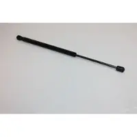 AUTOMEGA 100049510 Gasveer achterklep