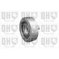 Quinton Hazell QTA421 Spanrol, poly V-riem