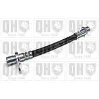 Quinton Hazell BFH6124 Remslang