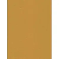 Rasch Denzo II 452075