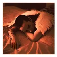 Import MIDNIGHT BUTTERFLIES