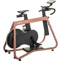 Kettler HOI Frame indoor bike - Terracotta – inductierem 600 watt