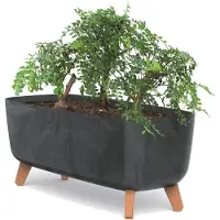 Prosperplast Bloembak Rechthoek Gracia Case Effect 58x24x24cm ANTRACIET