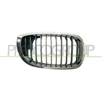 PRASCO BM0212013 Radiator grill