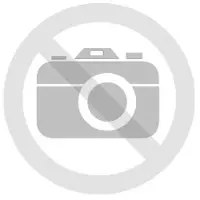 Ricoh type 15 developer zwart (origineel)
