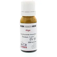 Dnh Alga