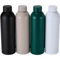 Alpina Drinkfles RVS 600ml Verschillende verschillende RVS Alpina Drinkfles