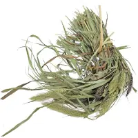 Jr Farm Parkiet Senegal Gierst 50 G