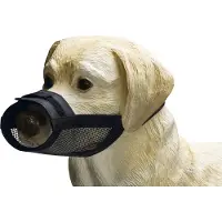 Beeztees Verstelbare Muilband Verst Zwart 29-34 Cm XXL