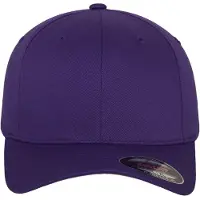 Hoedshop Spandex Flexfit Cap