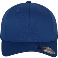 Flexfit Pet 'Flat Visor' royal blue/koningsblauw