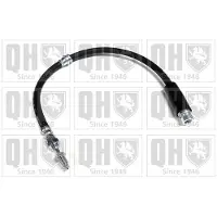 Quinton Hazell BFH5369 Remslang