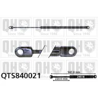 Quinton Hazell QTS840021 Gasveer motorkap