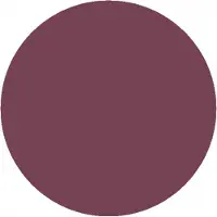 Incarose Più Volume Anti-Ageing Volumising Lipstick 4 ml (Tint : Violet)