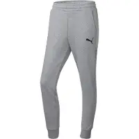 Puma Sportbroek 'Team Goal' grijs gemêleerd / wit