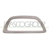 PRASCO RN7001248 Frame, mistlamp