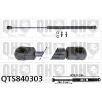 Quinton Hazell QTS840303 Gasveer achterklep
