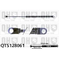 Quinton Hazell QTS128061 Gasveer achterklep