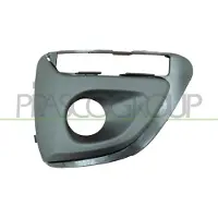 BLIC 6502-07-5504919P Ventilatiegrille, bumper