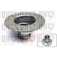Quinton Hazell EMR4859 Veerpootlager