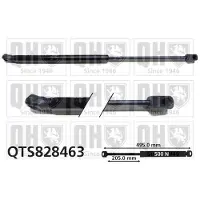 Quinton Hazell QTS828463 Gasveer achterklep