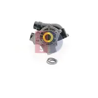 AKS DASIS 570046N Waterpomp