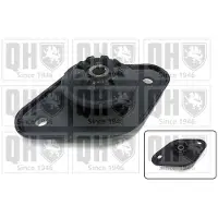 Quinton Hazell EMR4825 Veerpootlager