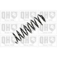 Quinton Hazell QCS6187 Chassisveer
