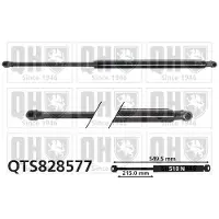 Quinton Hazell QTS828577 Gasveer achterklep