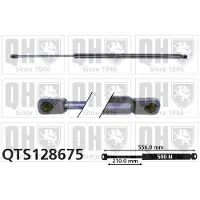 Quinton Hazell QTS128675 Gasveer achterklep