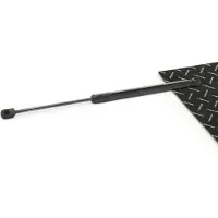 RIDEX 219G1274 Gasveer achterklep