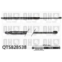 Quinton Hazell QTS828538 Gasveer achterklep