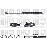Quinton Hazell QTS840184 Gasveer achterklep