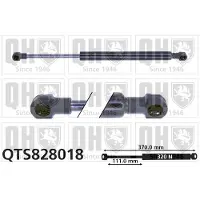 Quinton Hazell QTS828018 Gasveer achterklep