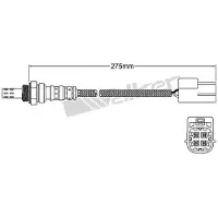 VEGAZ ULS-105 Lambdasonde