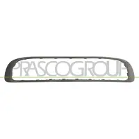 BLIC 6502-07-4001914P Ventilatiegrille, bumper